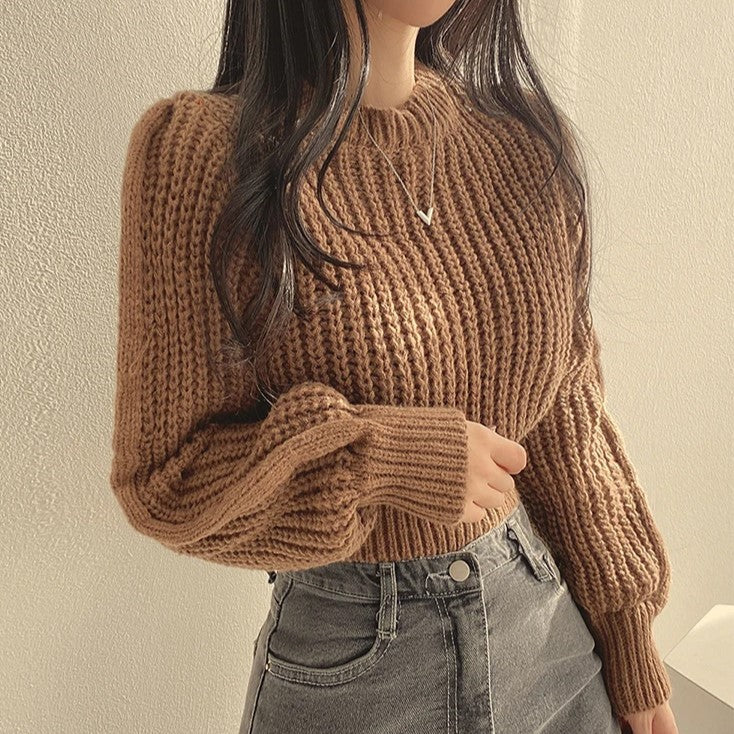 Lora Cropped Sweater | Loose & Stylish