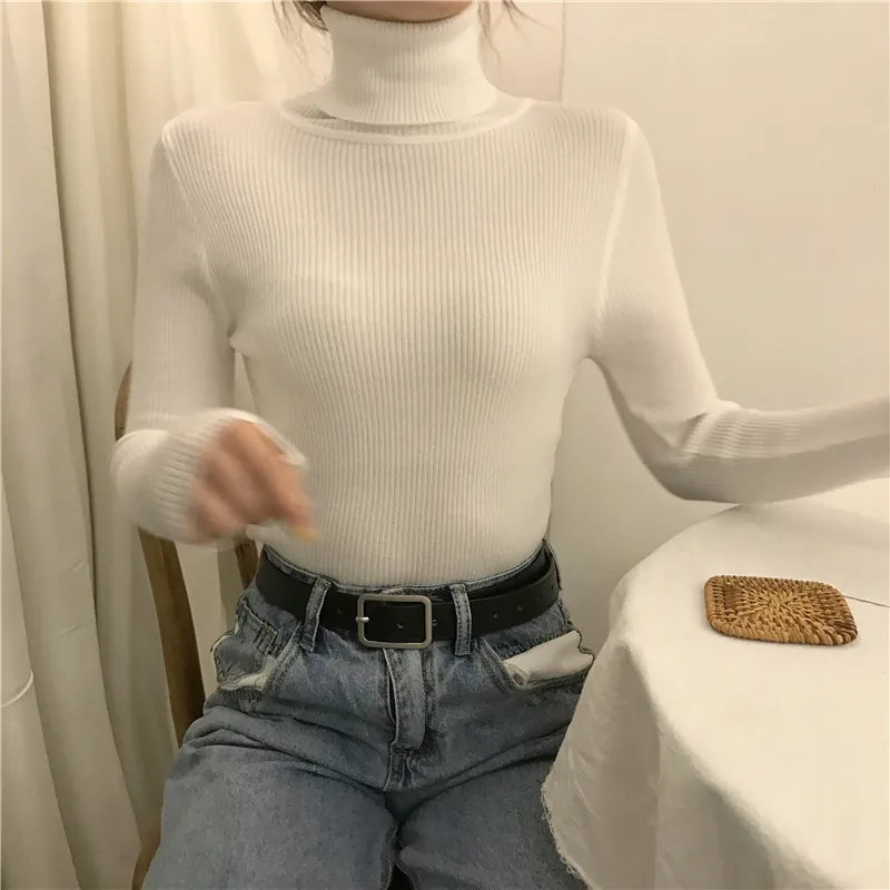 Sara Turtleneck | Soft & Trendy