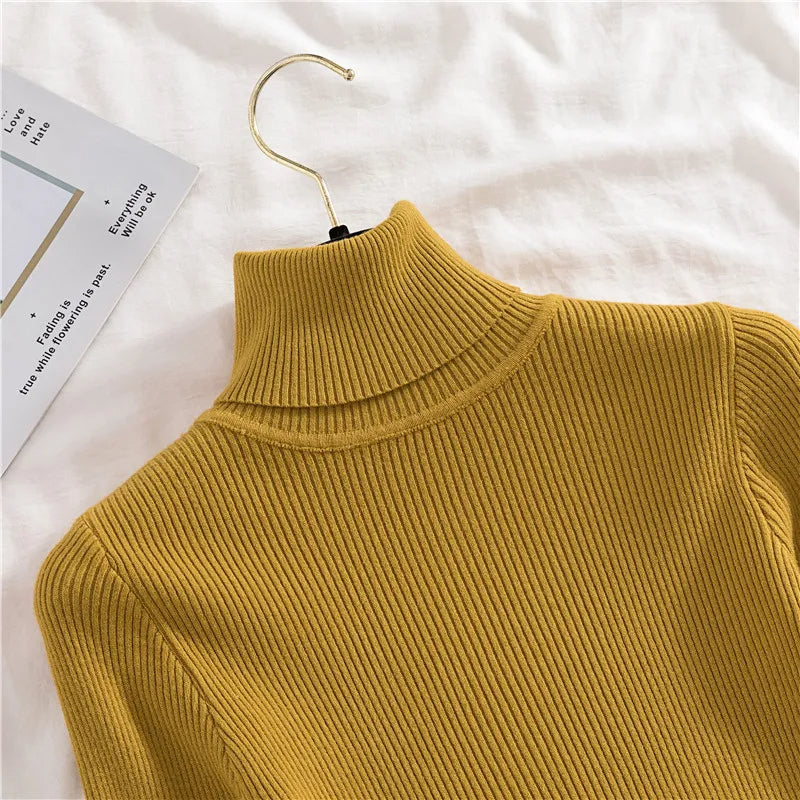 Sara Turtleneck | Soft & Trendy