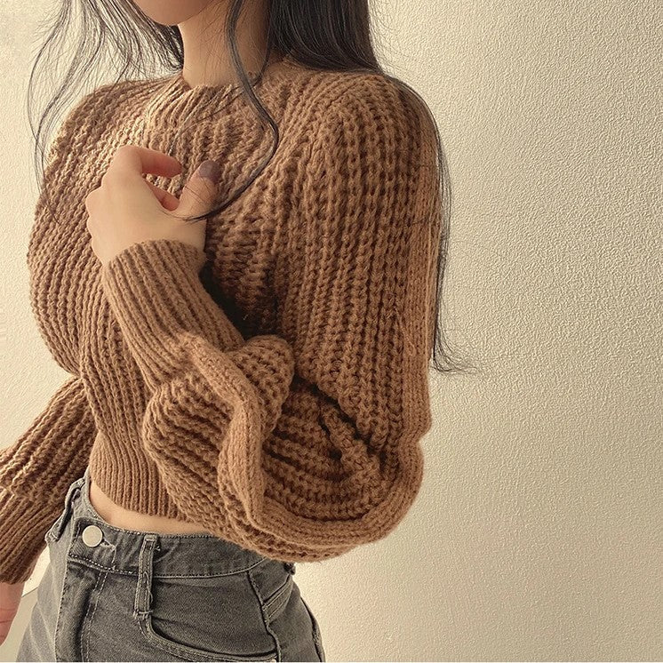 Lora Cropped Sweater | Loose & Stylish