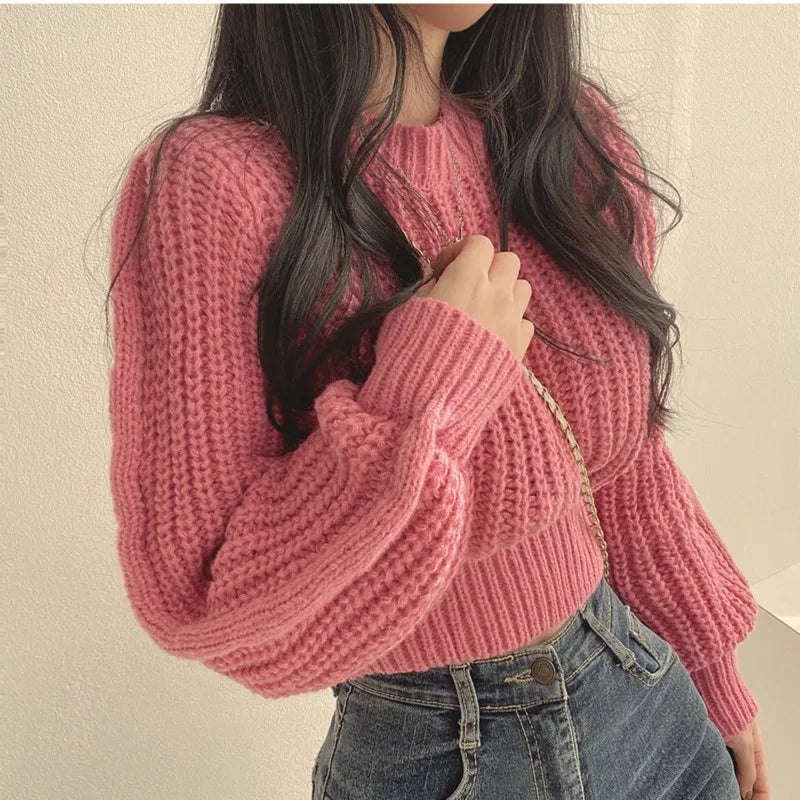 Lora Cropped Sweater | Loose & Stylish
